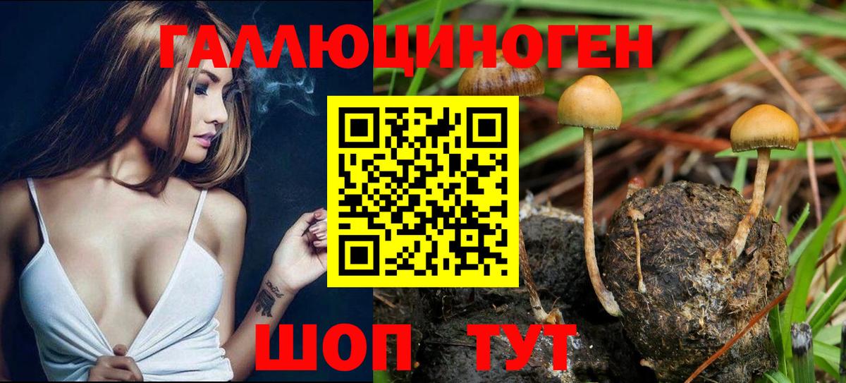 Псилоцибиновые грибы GOLDEN TEACHER  Вход с VPN  Полысаево 